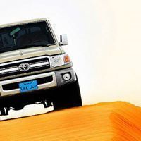 الفزعي الحجري