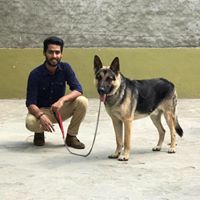 दिग्विजय राणा