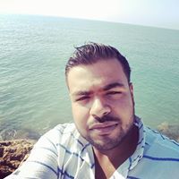 محمود ابو الجود