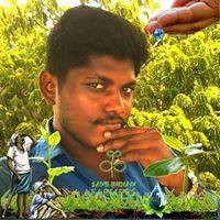 Kalidhas MP