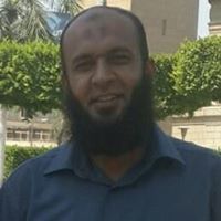 محمد صلاح الجدى