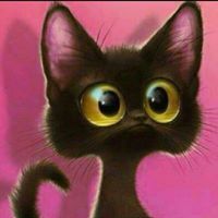 سليمان الازكي