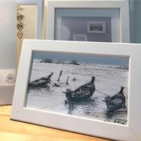 เดือนแจ้ง ภูฟ้าใส