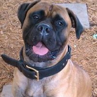 sonya.walshci.stpaul.mn.us