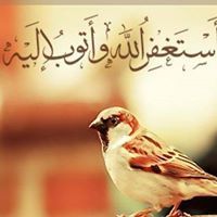 Ahmed Selem