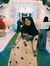 Icha Ib...
