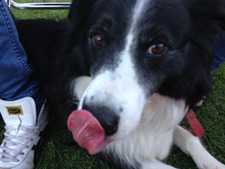 When in doubt, go to the library.