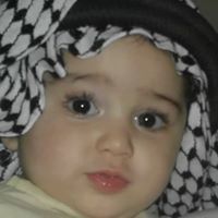 محمد العامري