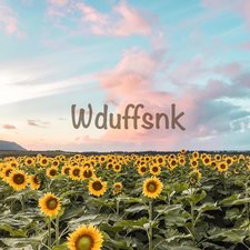 Wduffsnk - ดัฟฟ์