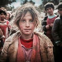 عماد القطامين