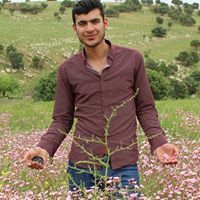 ئاراس ڕەحیمی