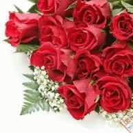 Saqib Muneer