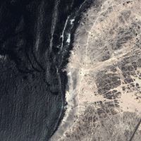 Asem Mohamed Ah Bala