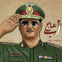 محمد القانوني