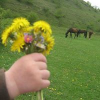 Світлана Суворова