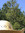 Janet (jwilliamsen) | 1 comments