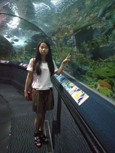 Feng Liu