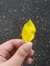 Laden S...