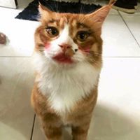 รัฐกานต์ เกลียวประเสริฐ