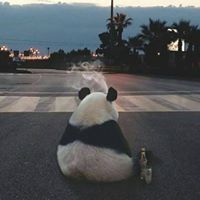 Никола Читлучанин