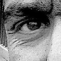 سامح عبد المنعم