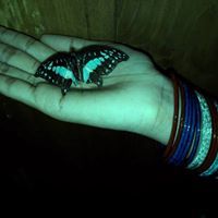 Mst Rahima