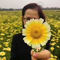 Tran Hoa