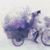 Khum Dinh