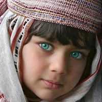 عامر الكلالي