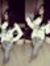 Megha R...