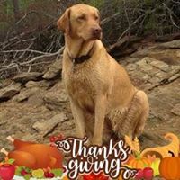 scott james stambaugh