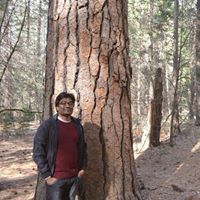 Srikanth Kumar Bijii