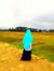Ambar W...