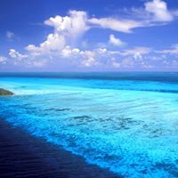 Ngọc Ngạo Nghễ