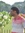 Ajay Ku...