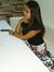 Swati D...