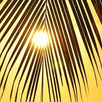 Арина Усова