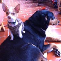 Isabel Peralta Graves