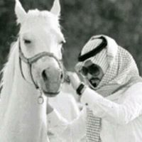 عدي الفداغي الشمري