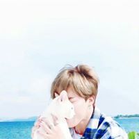 วาวาวาวา วาว