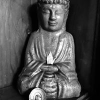 Paula S. Terwilliger