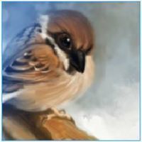 Светлана Тимченко