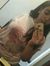 Nour El...