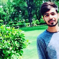 Rahul Chauhan