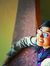 Shivani...