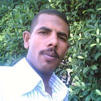 عمرو النوبى