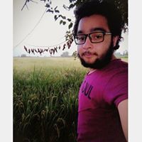 Ahmed Elsharkawy
