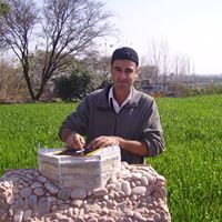 Osama Shoaib
