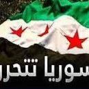 Hisham Elsayed