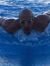 Ayoub E...